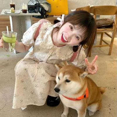秩序的守护者